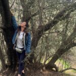 Lynn Collins Instagram - I found a secret olive grove. I also stepped in coyote poop but I didn’t take a picture of that. #nature #hiking #california #treestreestrees #trees
