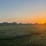 Lynn Collins Instagram - #texas @reclaimtheranch