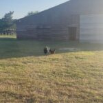 Lynn Collins Instagram - #texas @reclaimtheranch