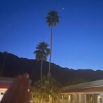 Lynn Collins Instagram - @thetwist.palmsprings THANK YOU for helping me #pregame for this birthday 💕🧡💕 The hospitality and chill vibes were a sweet balm to my soul 🩵 🩶 🩵 🩶 🩵 🩶 🩵 🩶🩵 Thank you @hilovetravel for the super cool #crossbodybag 🩶 #palmsprings #poolside #stars #palms @vionicshoes #happybirthday #pink #desert #desertlife @vans