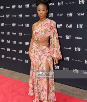 Lyric Ross Instagram - Yesterday @tiff_net for the Premiere of Wendell & Wild!

Makeup: @makeupbyhendra 
Hair: @janetjacksonhairstylist 
Stylist: @mrenriquemelendez 
Seamstress: @auntfunkyscloset 
Nail Art: @studiomluxe