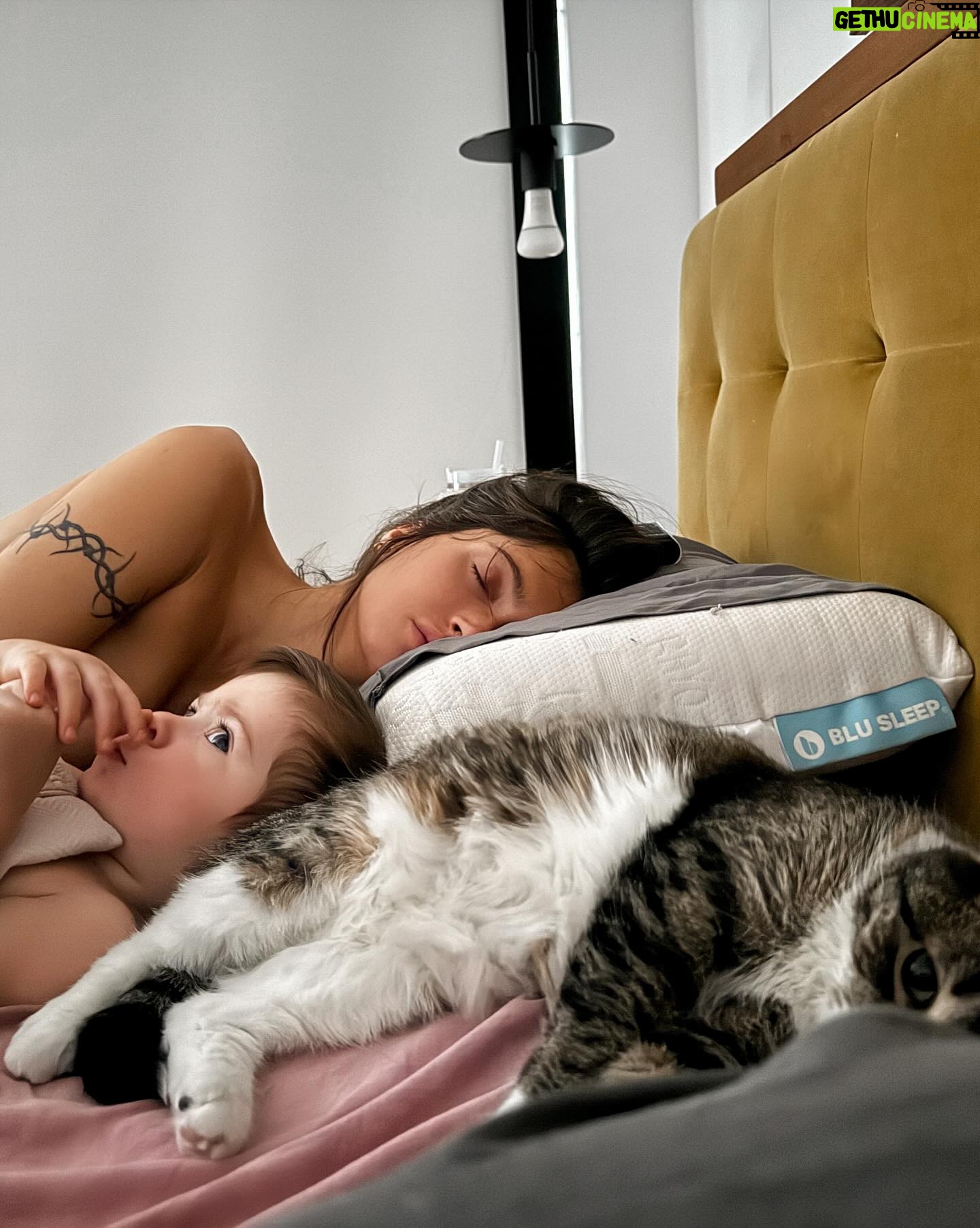 Lysandre Nadeau - 31.6K Likes - Mon p’tit monsieur a 13 mois! 🎉 J’étais pas certaine de continuer à faire mes recaps mensuels après sa première année, mais ça reste vraiment le fun pour moi de réfléchir au mois écoulé, de constater les changements et les progrès. Alors, je pense bien poursuivre ma p’tite tradition. On verra si ça dure jusqu’à sa majorité.
Il commence à marchouiller - avec une évidente envie de courir. Ses mots préférés: bye, ark, pique pis atchoum. Il tripe sur la chanson Hound Dog de Big Mama Thornton. Il commence à gribouiller sur son mini-tableau magnétique. Il a visité son 4e pays. Il mange plein de nouvelles choses aussi, mais à mon grand bonheur, c’est encore le lait de maman qu’il préfère.
Pour ce qui est d’aimer de même, je comprends toujours pas comment ça se peut.
Je t’aime mon BB 🤍
tellement fort
toujours plus fort