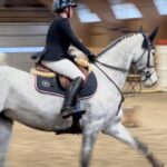 Märtha Louise Instagram - The horses have been great this weekend. The Indoor Norwegian Championship didn’t go quite our way with one down in each round, but we congratulate the winners whole heartedly: @amalielitland 🥇 @siri.endresen_ 🥈 @martinebsk 🥉 👏🇳🇴👏🇳🇴