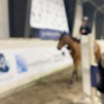 Märtha Louise Instagram - The horses have been great this weekend. The Indoor Norwegian Championship didn’t go quite our way with one down in each round, but we congratulate the winners whole heartedly: @amalielitland 🥇 @siri.endresen_ 🥈 @martinebsk 🥉 👏🇳🇴👏🇳🇴