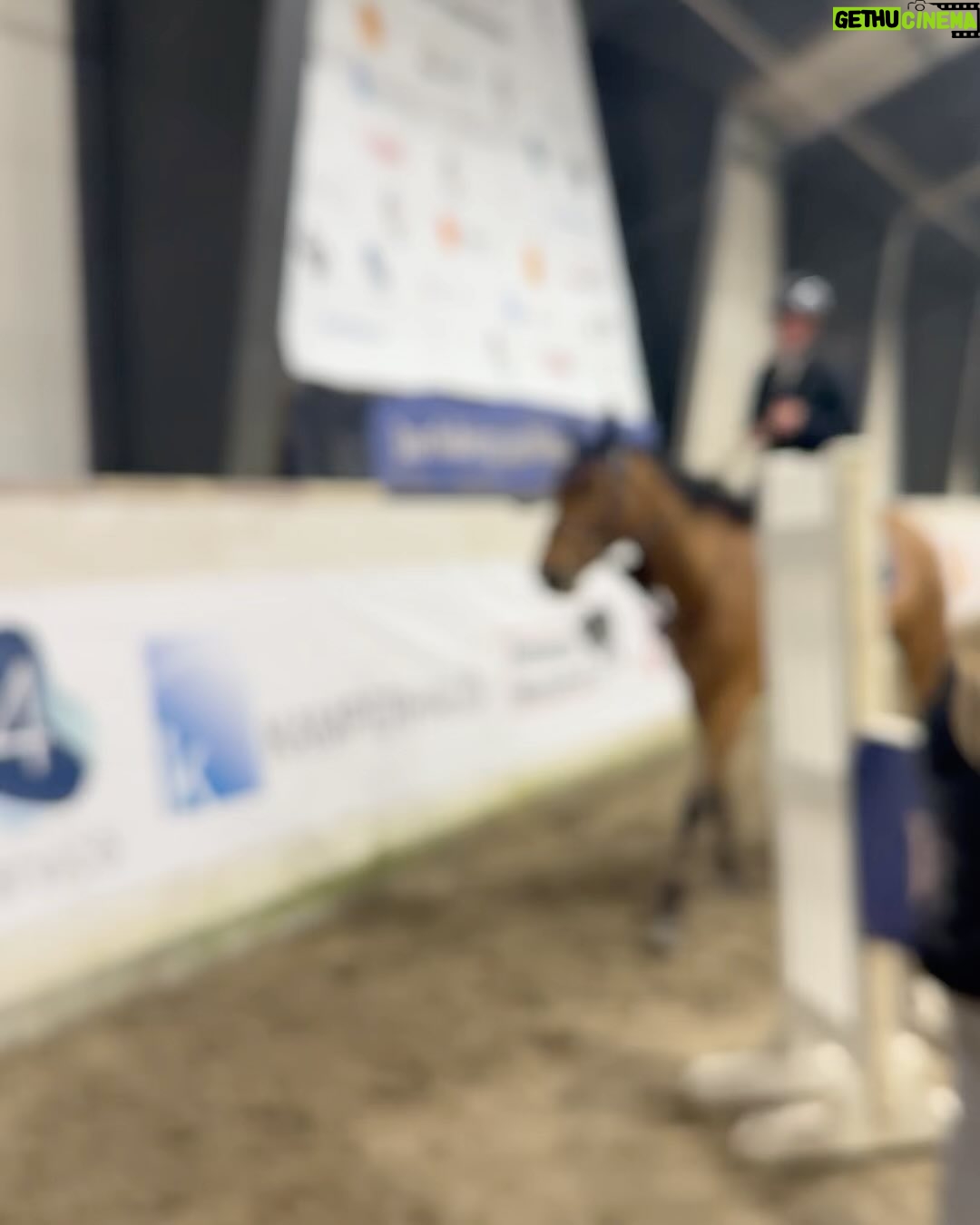 Märtha Louise Instagram - The horses have been great this weekend. The Indoor Norwegian Championship didn’t go quite our way with one down in each round, but we congratulate the winners whole heartedly: @amalielitland 🥇 @siri.endresen_ 🥈 @martinebsk 🥉 👏🇳🇴👏🇳🇴