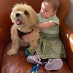 Müjgân Ferhan Şensoy Instagram – Hoşçakal Papyon! Ailemize kattığın tüm güzel duygular, arkanda bıraktığın tüm anılar için teşekkür ederiz. Seni hep çok sevdik, hep çok seveceğiz. ❤️