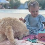 Müjgân Ferhan Şensoy Instagram – Hoşçakal Papyon! Ailemize kattığın tüm güzel duygular, arkanda bıraktığın tüm anılar için teşekkür ederiz. Seni hep çok sevdik, hep çok seveceğiz. ❤️