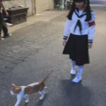 MIZYU Instagram -
