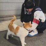 MIZYU Instagram -