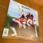MIZYU Instagram - VI/NYL @viandnyl #012 裏表紙担当 新しい学校のリーダーズ結成からの八年間を振り返る濃厚話&撮り下ろし写真が掲載、正方形雑誌、上質紙、 素敵に載せていただいて光栄です 写真はいつかご一緒したいと 一方的に思っていた、ISOBE AKIKO様　@akikoisobe 素敵写真満載🍃🪷💫 必読かもョ