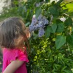 Maïka Desnoyers Instagram - On s’est promené et on a sentie tous les lilas sur notre chemin. Les petits bonheurs sont… dans les lilas 💜