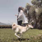 Macarena Miguel Instagram – Un perro feliz 🫶🏻