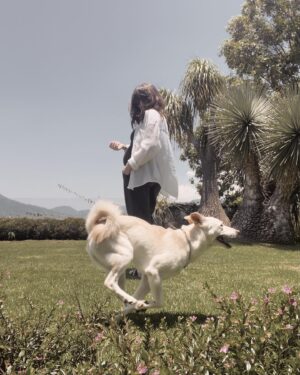 Macarena Miguel Instagram - Un perro feliz 🫶🏻