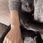 Macarena Miguel Instagram - Según yo no era de gatos 🤷🏻‍♀️