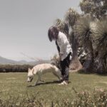 Macarena Miguel Instagram – Un perro feliz 🫶🏻