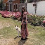 Macarena Miguel Instagram – Flores, perros y panzas 🤍