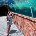 Macarena Tondreau Instagram - Un resumen cortito del último viaje de los 6…. A partir del próximo ya seremos 7!!❤️❤️ Aunque Clemente igual nos acompañó en la pancita de la Vale todo el tiempo. Gracias familia por unos días tan hermosos. Los disfruté a mil! @alfalonxo @gianpierosampieri @martisampieri.t #celestealonsotondreau y @v___t___m Los quiero hasta el infinito! Ahora…a prepararse para ser papás, tías y ABUELOS!!!🎉🎉 Estaré subiendo videos hermosos para compartir con ustedes como siempre❤️