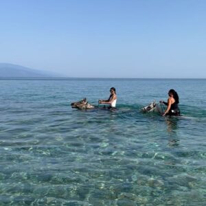 Madeleine Madden Instagram - *HORSE GIRL ACTIVATED*

Thank you Joanna and Michael at @skiathos_horseridingcenter for the most INCREDIBLE morning ride.

Just overwhelmed by the beauty of this gem of an island and all the wonderful people (and four legged friends) we have met along the way.