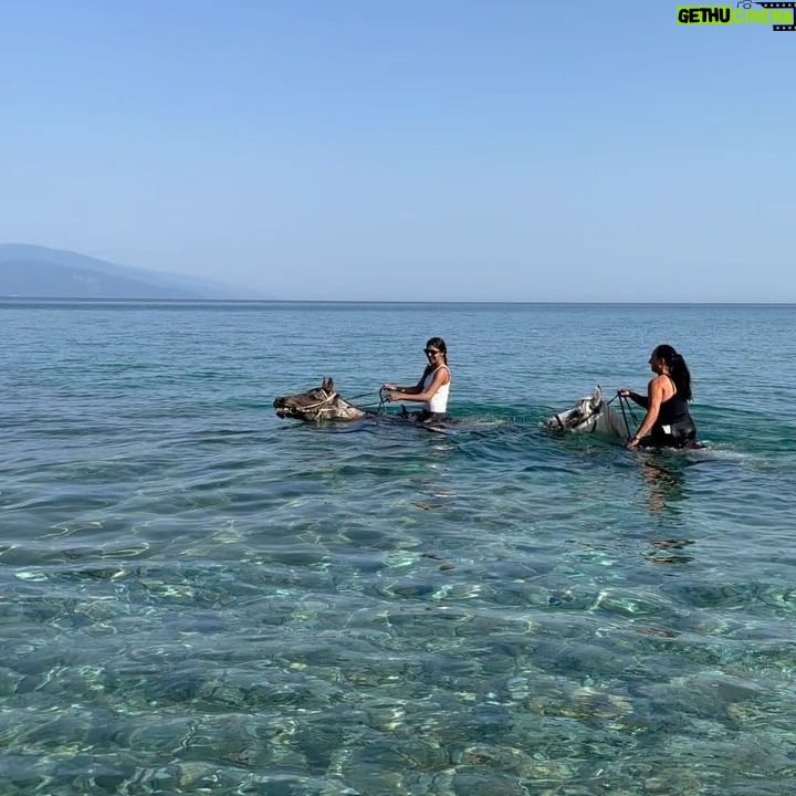 Madeleine Madden - 4.6K Likes - *HORSE GIRL ACTIVATED*
Thank you Joanna and Michael at @skiathos_horseridingcenter for the most INCREDIBLE morning ride.
Just overwhelmed by the beauty of this gem of an island and all the wonderful people (and four legged friends) we have met along the way.