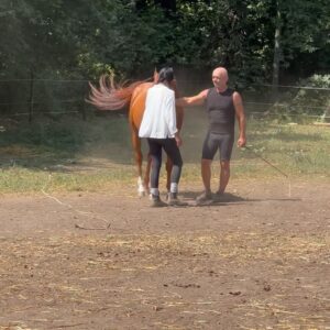 Madeleine Madden Instagram - *HORSE GIRL ACTIVATED*

Thank you Joanna and Michael at @skiathos_horseridingcenter for the most INCREDIBLE morning ride.

Just overwhelmed by the beauty of this gem of an island and all the wonderful people (and four legged friends) we have met along the way.