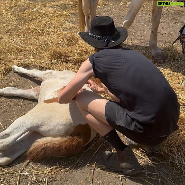 Madeleine Madden - 4.6K Likes - *HORSE GIRL ACTIVATED*
Thank you Joanna and Michael at @skiathos_horseridingcenter for the most INCREDIBLE morning ride.
Just overwhelmed by the beauty of this gem of an island and all the wonderful people (and four legged friends) we have met along the way.