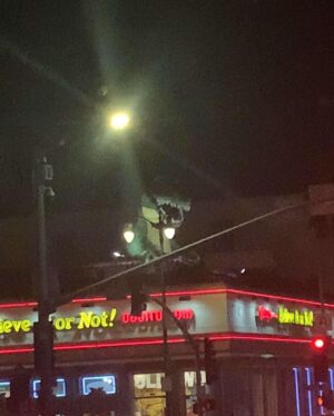 Madeline Carroll Instagram - I love LA