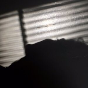 Madeline Zima Instagram - “Everything that we see is a shadow cast by that which we do not see”.- Martin Luther King  Jr.