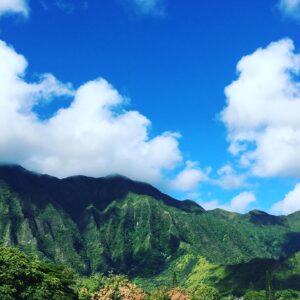 Madeline Zima Instagram - Good bye #Hawaii I will miss your beauty. 🌎