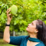 Madhu Reddy Instagram - Mangos Antee oka Emotion🫣 #instagram #insta #viral #post #viralpost #trendingnow #trend #mangos #season #emotion #mangoseason #village #viralposts