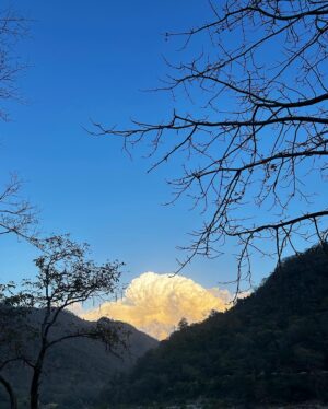 Madhuri Itagi Instagram - I belong here 🦋🩵