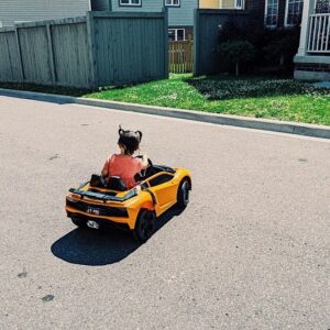 Madison Cheeatow Instagram - Rolling into the summer ☀️