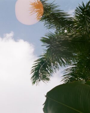 Madison McLaughlin Instagram - 🌴🌊🤭