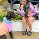 Madison De La Garza Instagram - Twins 💙 @sparkpawsofficial