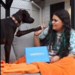 Madison De La Garza Instagram - Mavi loved his presents! Thank you @vetpetbox 🥰🐶 #ad