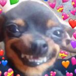 Mae Muller Instagram - SWIPE N READ <3 FROM ME TO U <3 ILY THANK U