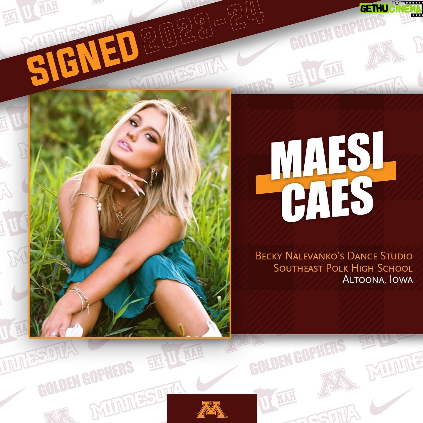 Maesi Caes Instagram - It’s our next Golden Gopher’s golden birthday! Excited to welcome @maesicaesofficial to the family♥️♥️
