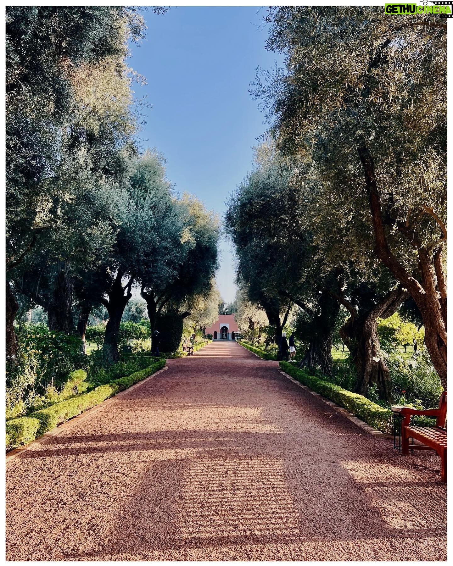 Magalie Lépine-Blondeau Instagram - Merci @marrakechfilmfestival