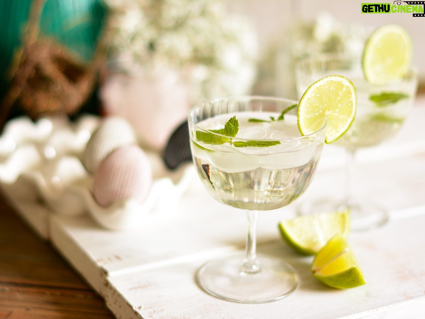 Maggie Beer Instagram - If you enjoy dabbling with new ingredients or simply putting a delicious twist on a classic recipe, here's a tipple you're sure to love: Maggie's Verjuice Mojito. Made with white rum and Maggie's famous Verjuice, the refreshing flavour will keep your guests coming back for more. Find this recipe via the link in our bio as part of the Make It a Maggie Easter eCookbook. #makeitamaggieeaster #classiccocktails