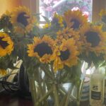 Maggie Beer Instagram - "The house is full of the scent of roses from my garden, but there is a special part of my heart that goes to the joy of sunflowers and how they suit the colour of our kitchen!" - Maggie Beer