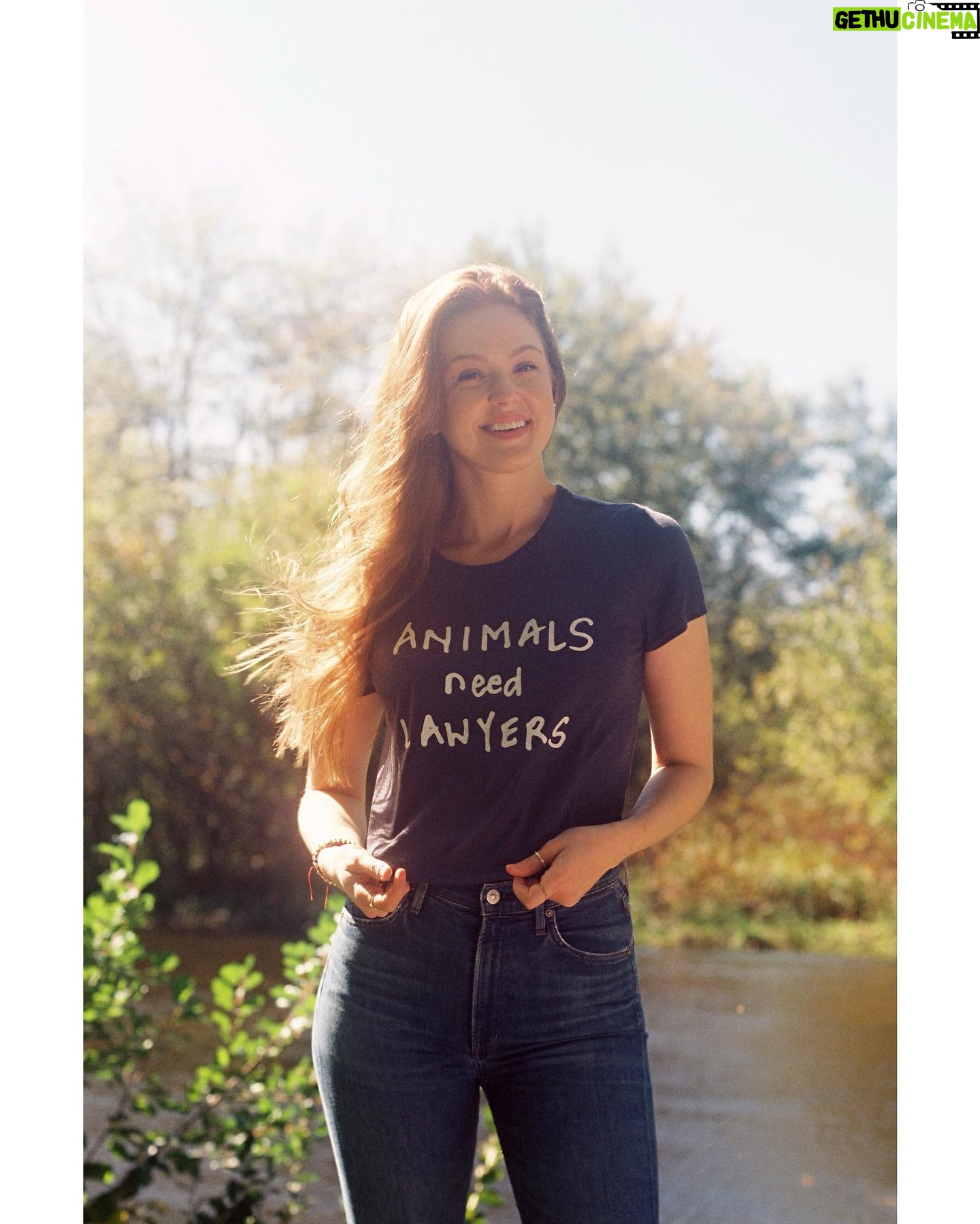 Maggie Geha Instagram - #AnimalsNeedLawyers and when you shop @advancinglawforanimals fundraiser tees you help provide impact litigation for animals! Iโm wearing the navy crop and it is super soft and cute and fits really well! Link in bio or go to advancinglawforanimals.org/shop ๐: @jared.clements