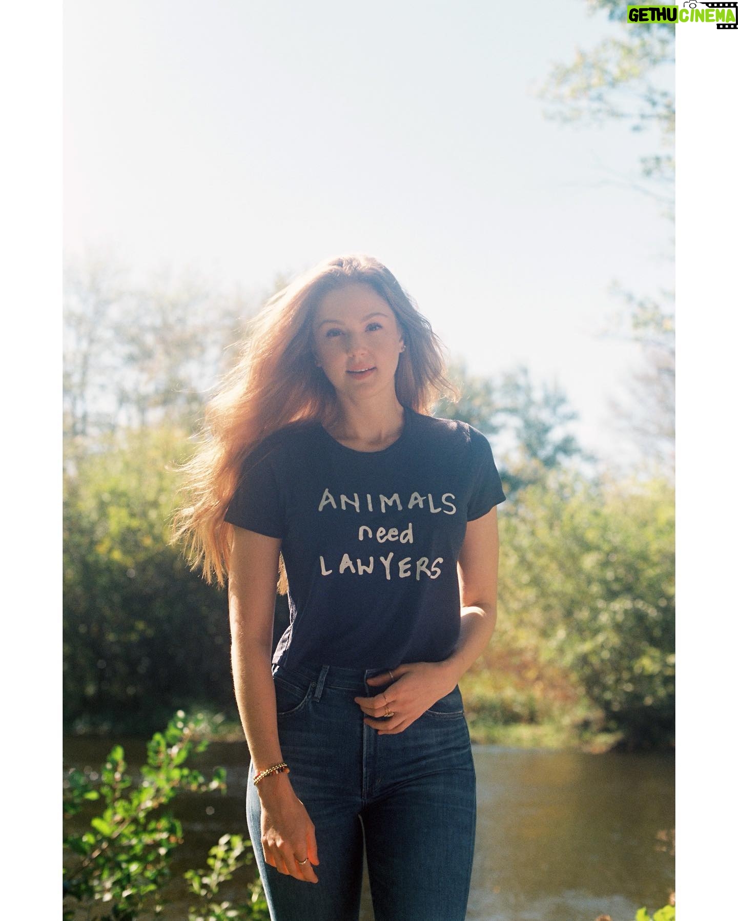 Maggie Geha Instagram - #AnimalsNeedLawyers and when you shop @advancinglawforanimals fundraiser tees you help provide impact litigation for animals! Iโm wearing the navy crop and it is super soft and cute and fits really well! Link in bio or go to advancinglawforanimals.org/shop ๐: @jared.clements