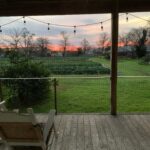 Maggie Grace Instagram - A warm thank you to Miss Carol Anne & @boggycreekfarmstand for sharing their special urban farm with us, it was heaven; Farmstays include a free dog named Buddy! ;) 🥬🥕🥚👩🏼‍🌾🐓🐕 #texasfarmsandranches #urbanfarms #sustainableagriculture