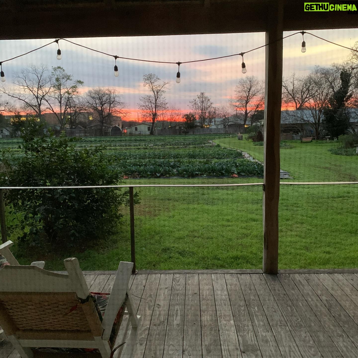 Maggie Grace Instagram - A warm thank you to Miss Carol Anne & @boggycreekfarmstand for sharing their special urban farm with us, it was heaven; Farmstays include a free dog named Buddy! ;) π₯¬π₯π₯π©πΌβπΎππ #texasfarmsandranches #urbanfarms #sustainableagriculture