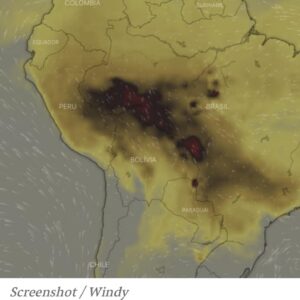 Maggie Grace Instagram - 🚨🧯Brazil’s deliberately set massive rainforest fires. The Amazon- the “lungs of the world”- produces 20% of the worlds oxygen. Fires are up 84% compared to only last year and spreading; if this continues it will be a terrible tipping point for climate change. All of this is being done for beef production, already one of the worst, highest impact foods. What we can do: Eat less beef, donate your time or resources to @amazonwatch @rainforestalliance @rainforestactionnetwork, buy fewer paper products, & choose those endorsed by the Rainforest Alliance. And if you’re a citizen of Brazil, please raise your political voice (I certainly empathize; my country’s also making insane decisions on the most important ecological matters that endanger us all) #prayforamazonia #climatejustice