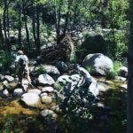 Maggie Grace Instagram - Hikes with my dad and brother 🌲❤️ This is truly the Good Stuff in life. #leavenotrace #hikingbuddies #lucky