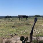 Maggie Grace Instagram - 🎹 🌵Texans like their music wild.