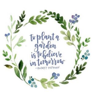 Maggie Grace Instagram - 🌱www.plantaseedday.org is offering to send free seeds to anyone's doorstep. Challenge accepted @christianamusk! @plantaseedday @seedsofchange #victorygardens #beaseedofchange 🥦🥬🥒🥕