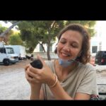 Maggie Gyllenhaal Instagram - “I’m alive, actually”……..On the second day of shooting @thelostdaughterfilm a litter of kittens was born in the back of my car. We had left the windows open.
