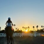 Maggie Lawson Instagram - July Wrap Up! ✨Friends, Sunsets, and plenty of Me Time✨