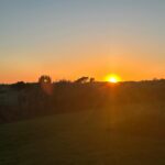 Maggie Lawson Instagram – Sunset   Linus = ❤️